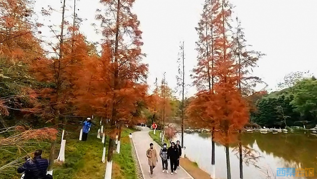 conew_qqͼ20231218203444.jpg