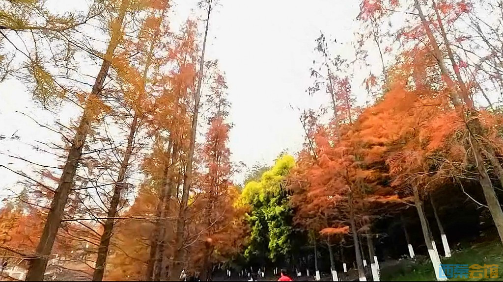 conew_qqͼ20231218203822.jpg