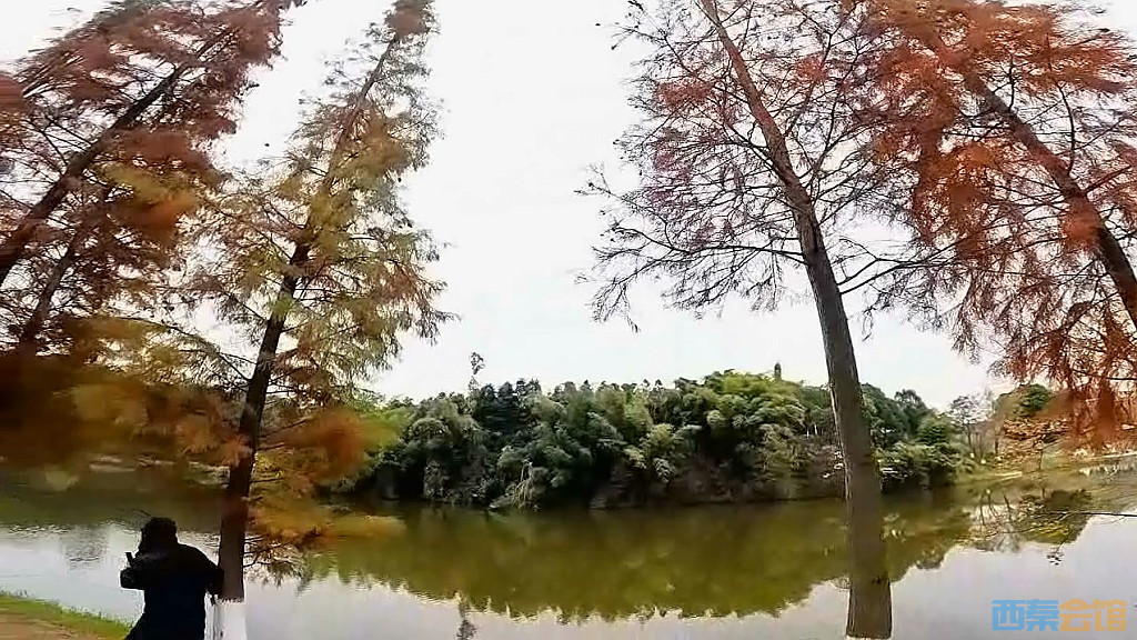 conew_qqͼ20231218204621.jpg