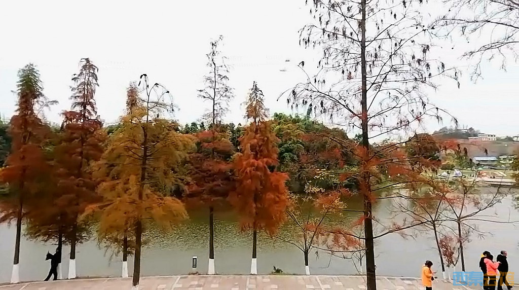 conew_qqͼ20231218205446.jpg