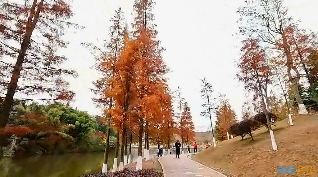 conew_qqͼ20231218205058.jpg
