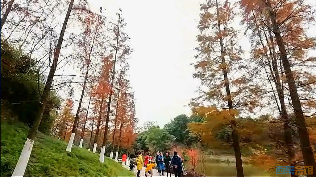 conew_qqͼ20231218204908.jpg