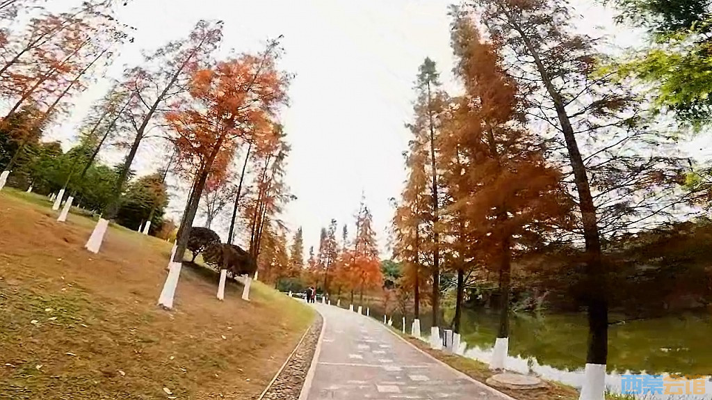 conew_qqͼ20231218204401.jpg