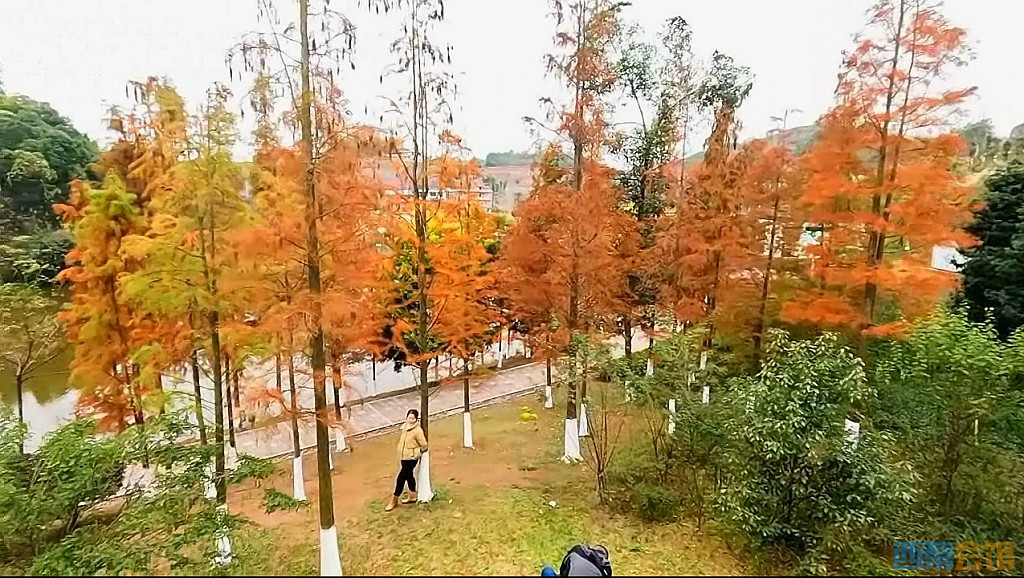 conew_qqͼ20231218205711.jpg