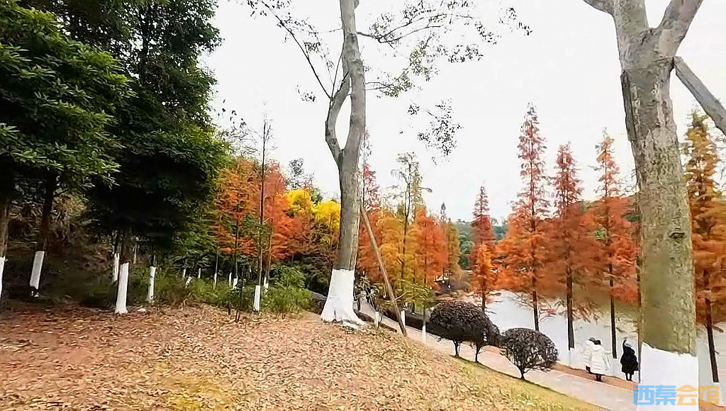 conew_qqͼ20231218205531.jpg