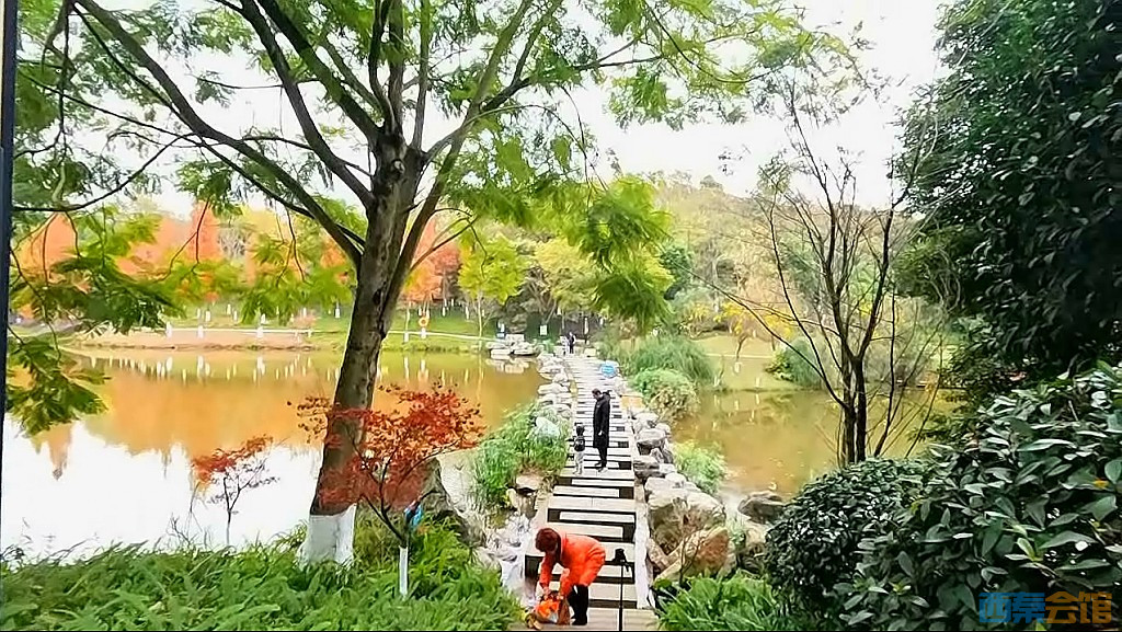 conew_qqͼ20231218210912.jpg