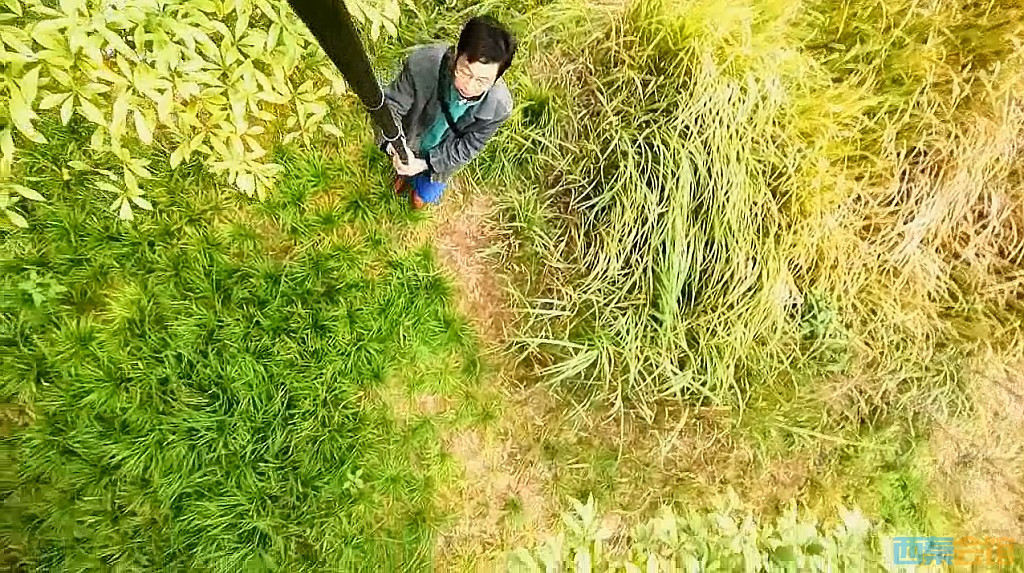 conew_qqͼ20231218210101.jpg