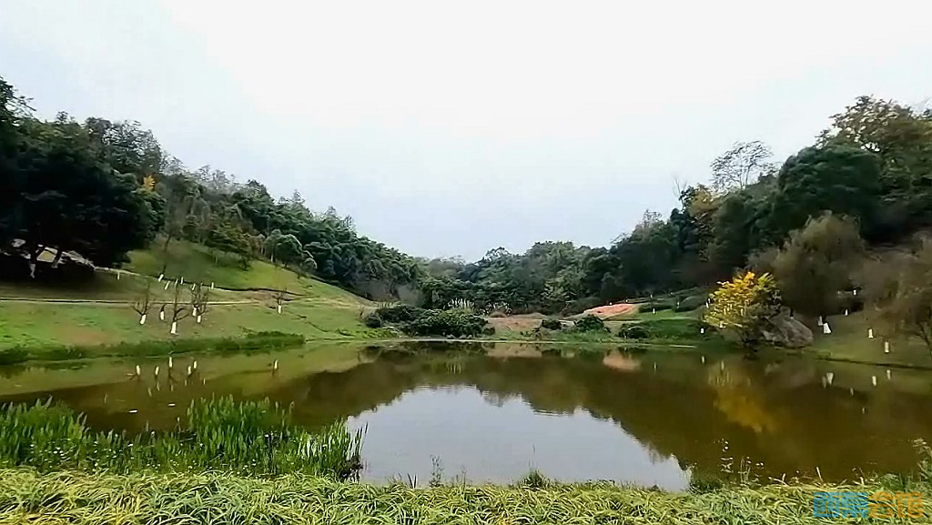 conew_qqͼ20231218211731.jpg