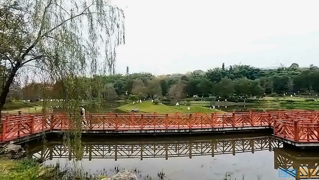 conew_qqͼ20231218211554.jpg