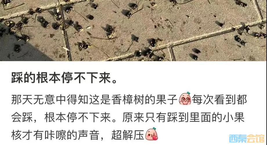 ΢��ͼƬ_20240329105916 - ����.jpg