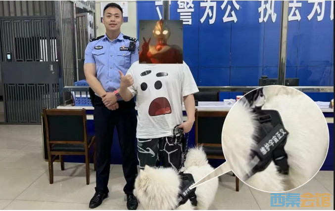 46.png