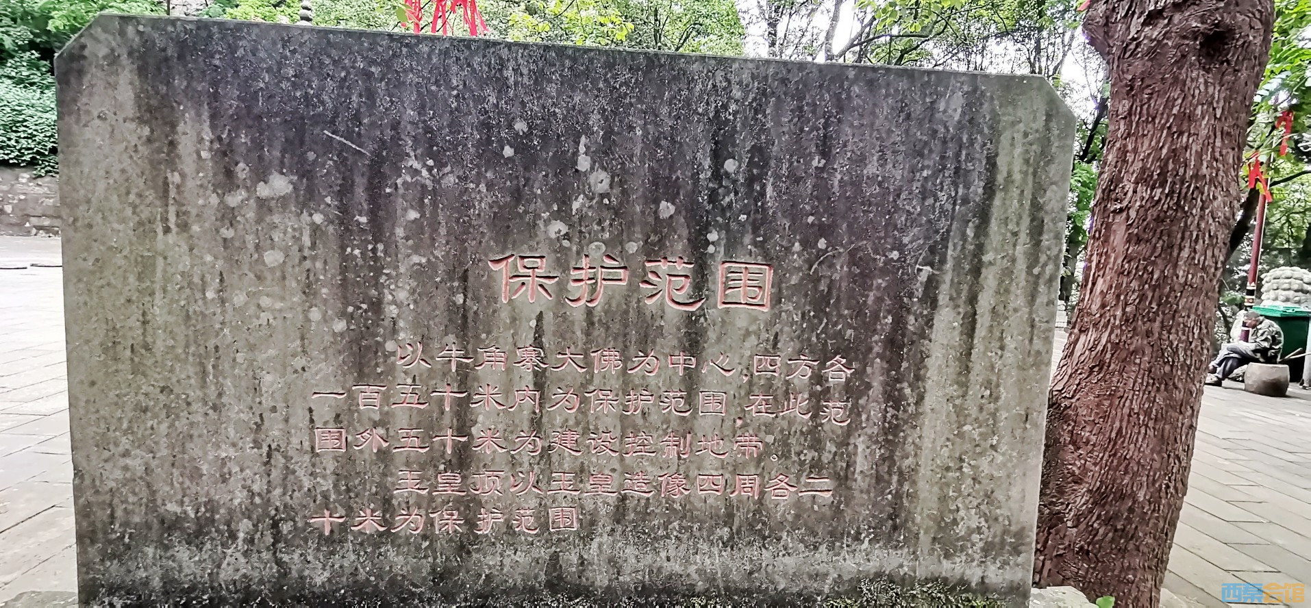 conew_img_20240512_102821.jpg
