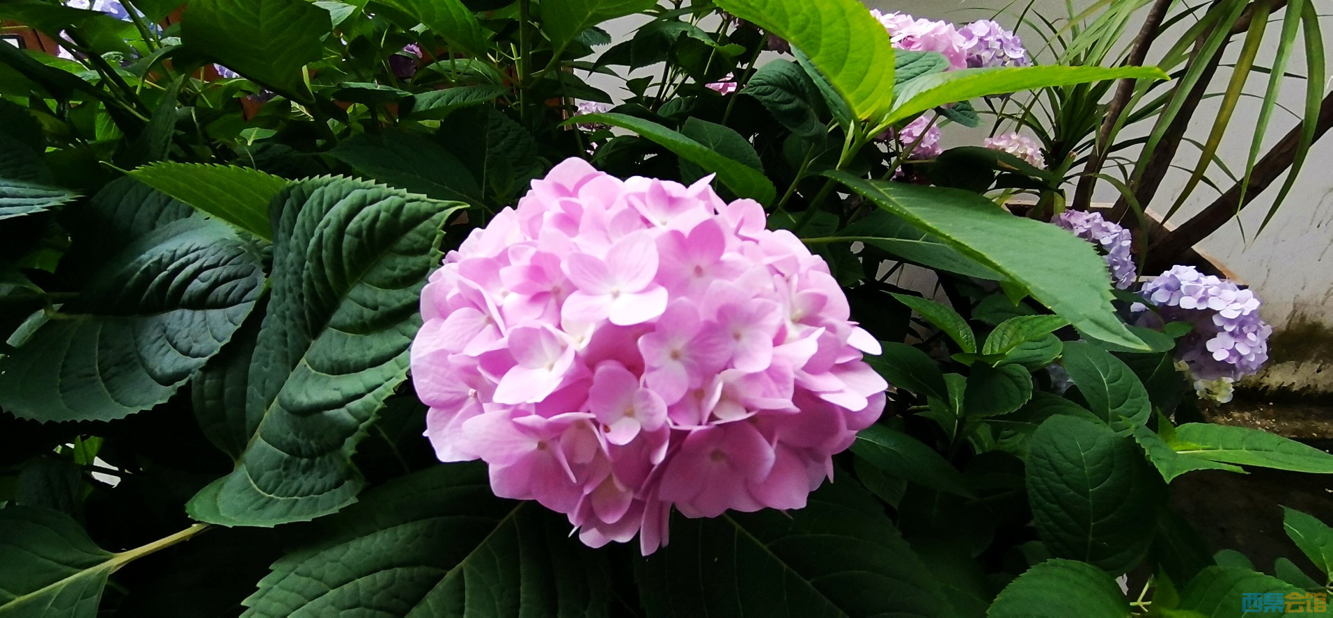 conew_img_20240512_141044.jpg