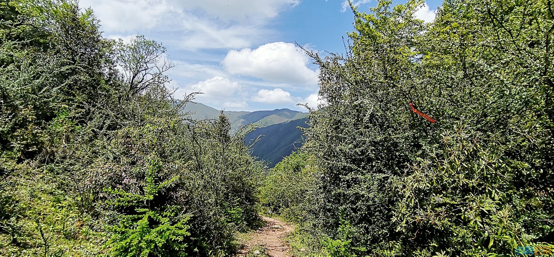 conew_img_20240526_143601.jpg
