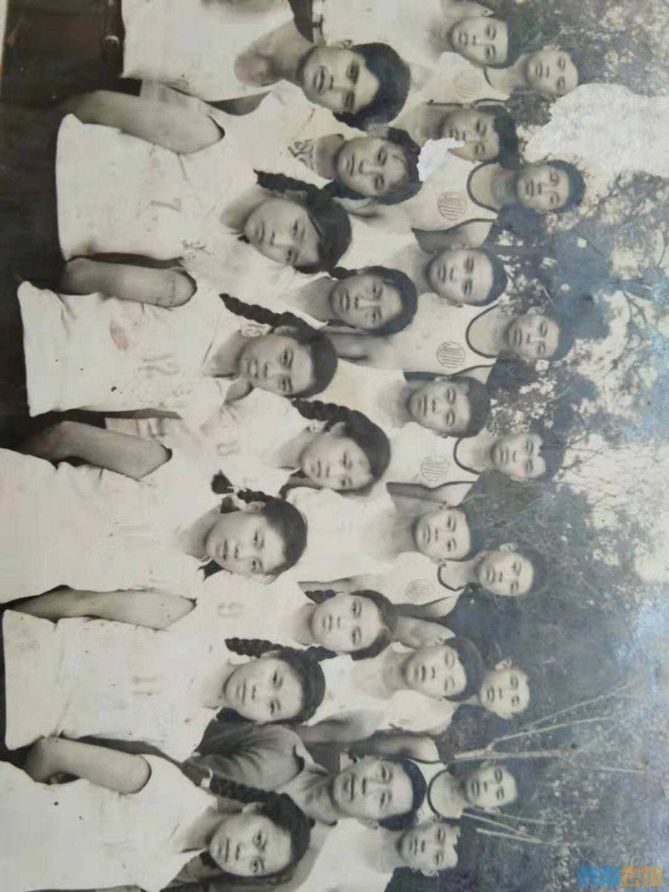 �μ�����ѧ���˶���