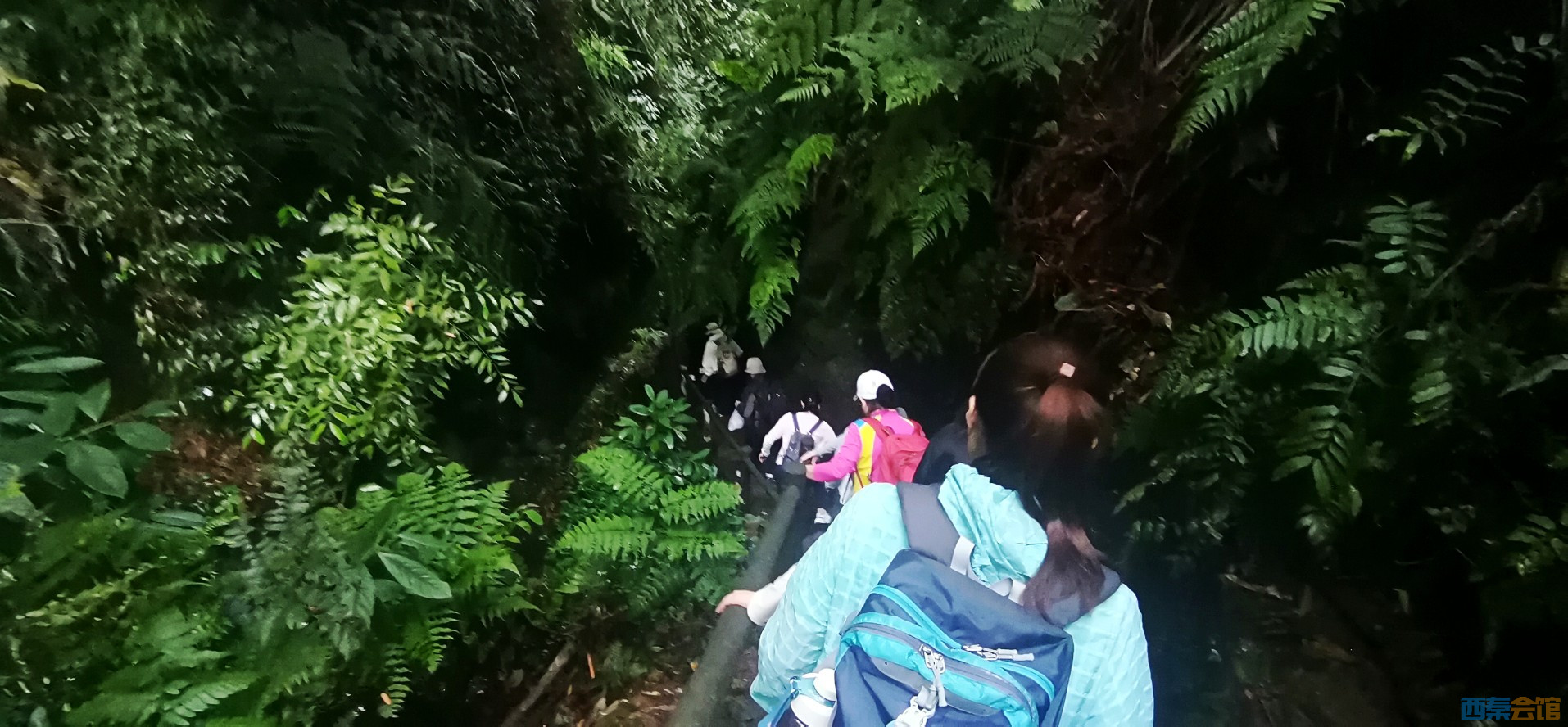 conew_img_20240608_093820.jpg