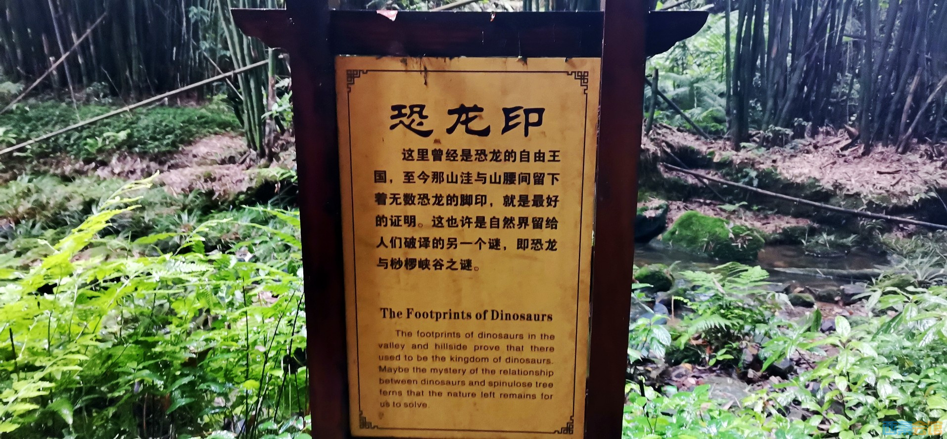 conew_img_20240608_094103.jpg