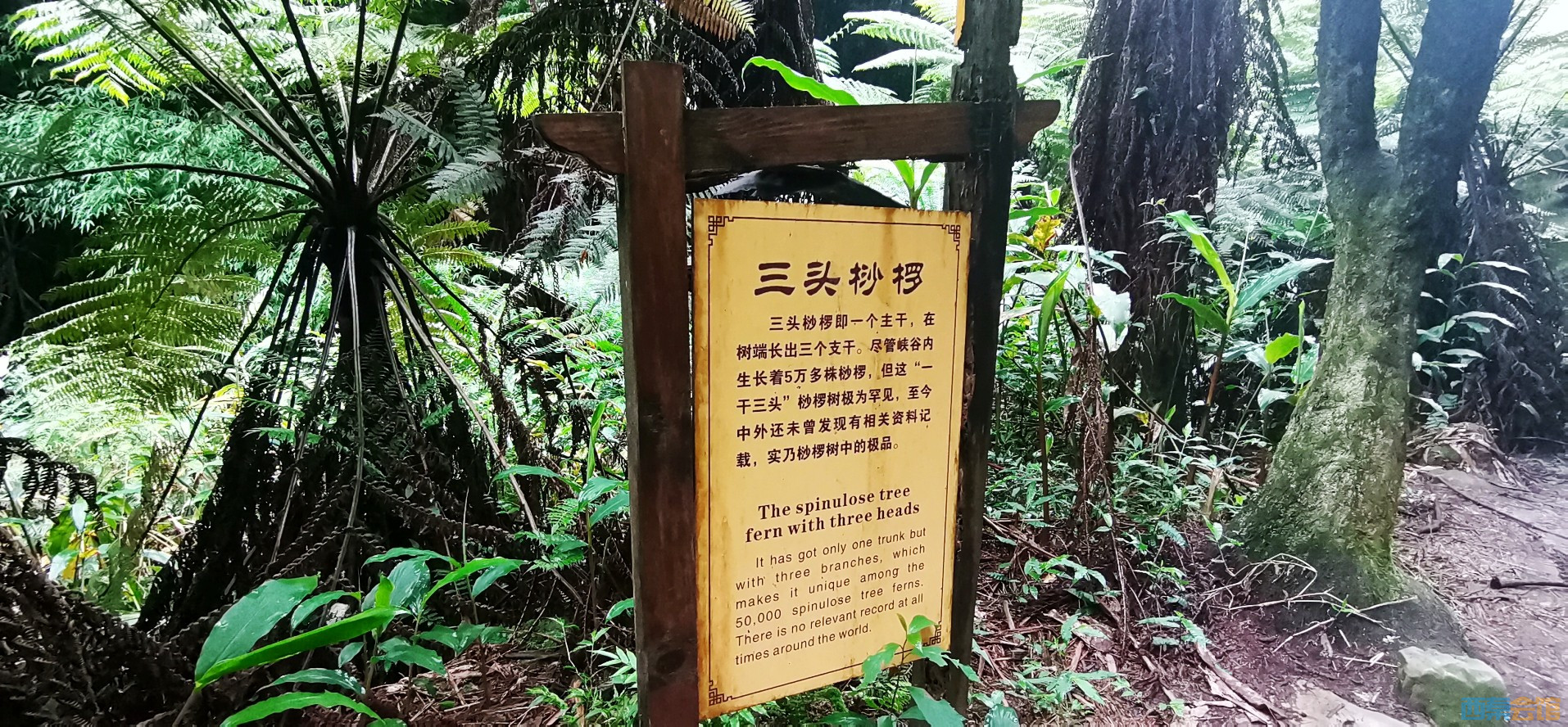 conew_img_20240608_095432.jpg