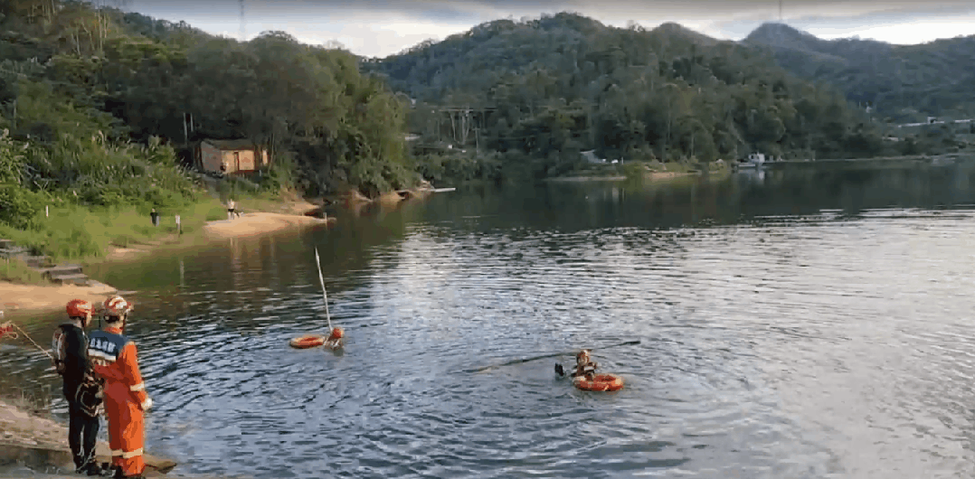 29.gif
