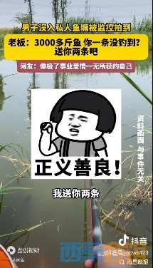 31.png