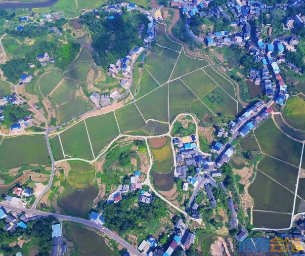 6.png