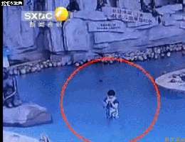 12.gif