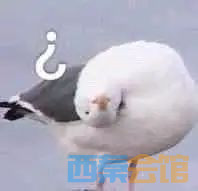 ΢ͼƬ_20240816101813.jpg