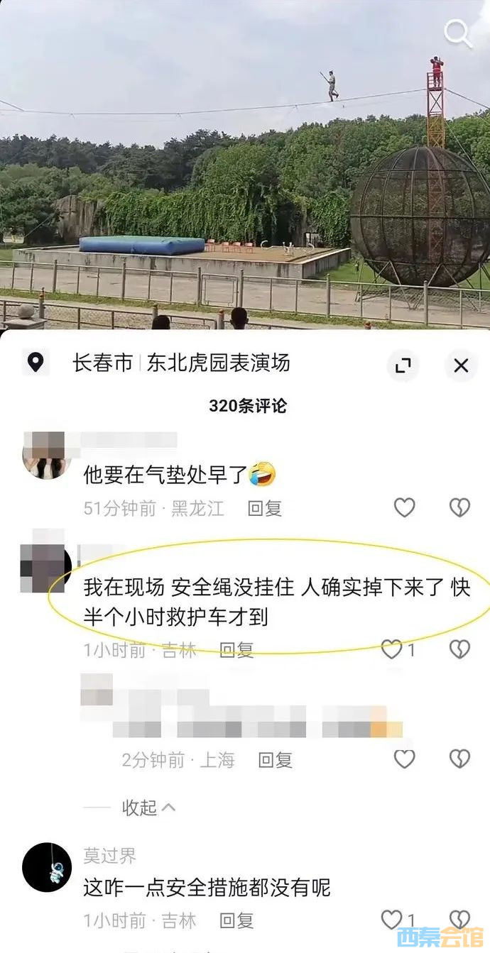 .jpg