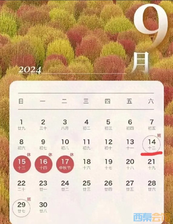10.png
