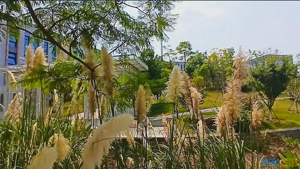 conew_qqͼ20240829213315.jpg