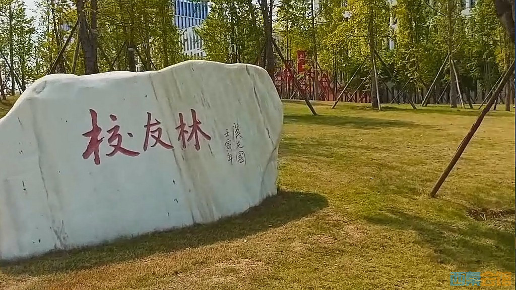 conew_qqͼ20240829213629.jpg