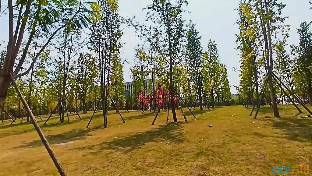 conew_qqͼ20240829213826.jpg