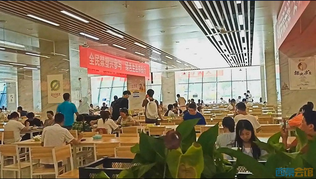 conew_qqͼ20240829215631.jpg