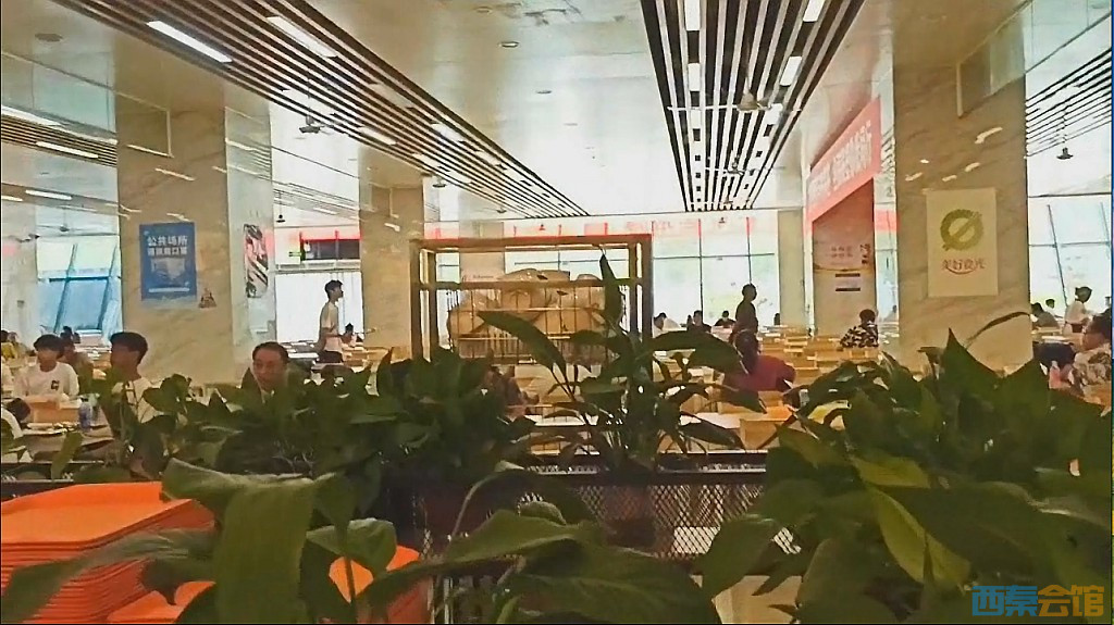 conew_qqͼ20240829220930.jpg