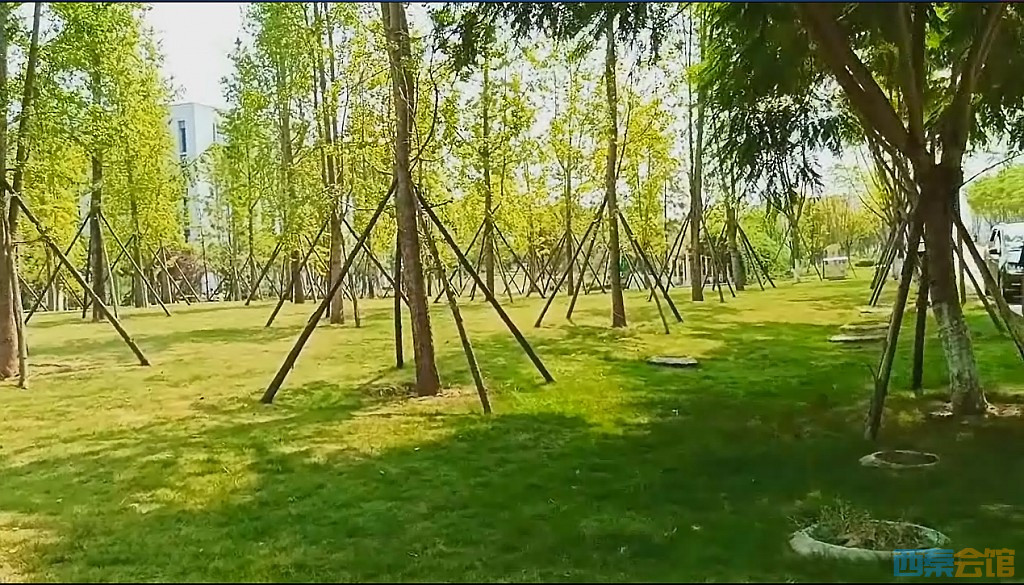 conew_qqͼ20240829221509.jpg