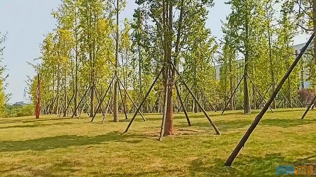 conew_qqͼ20240829221530.jpg