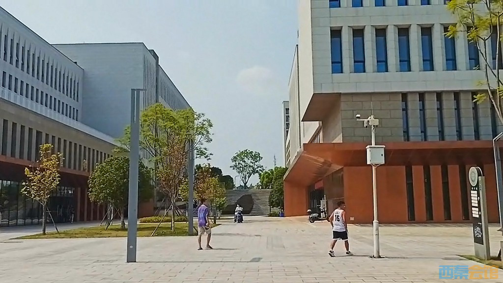 conew_qqͼ20240829221714.jpg