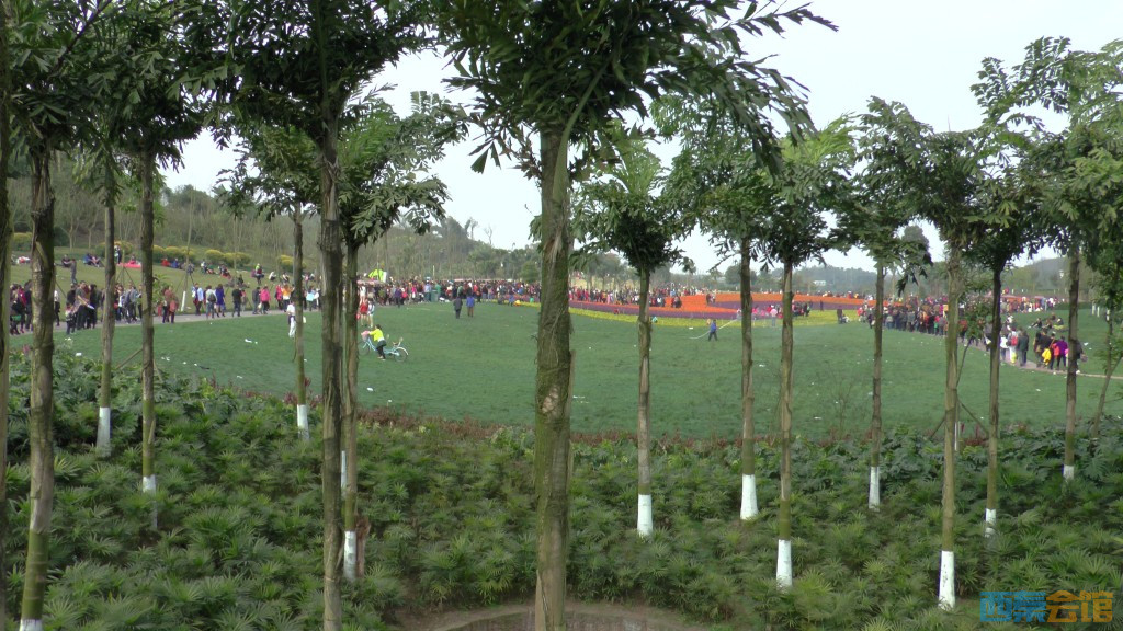 ʽS1360066.jpg