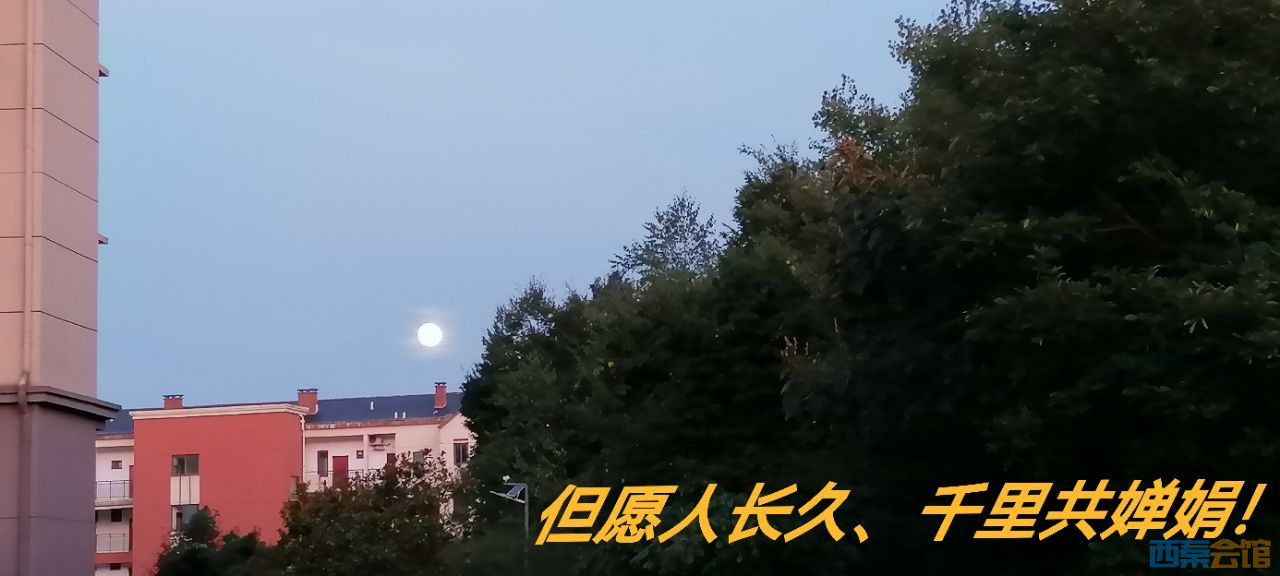 20240918164238front2_0_501719_FvcJETG9BLCEwy1yN96qC61STw0N.jpg