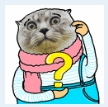 91.png