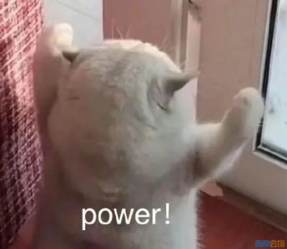 ΢ͼƬ_20240928093443.jpg