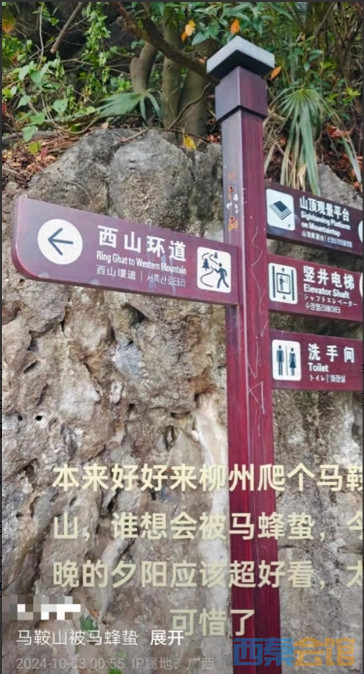 13.png