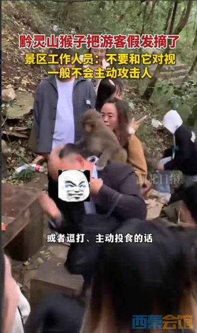 41.png
