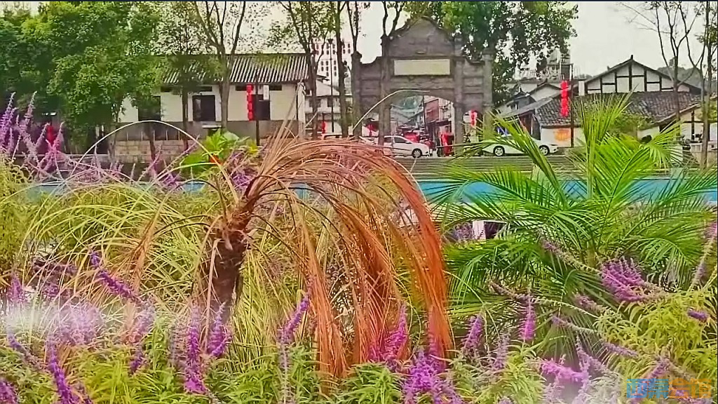 conew_qqͼ20241005201825.jpg