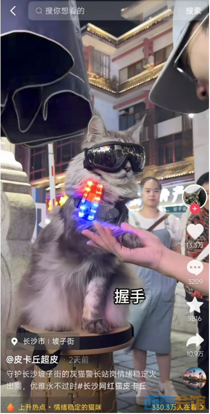 94.png