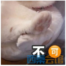 41.png
