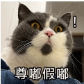 58.png