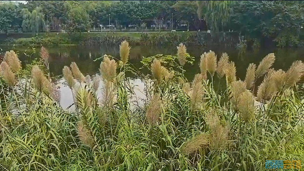 conew_qqͼ20241018191634.jpg