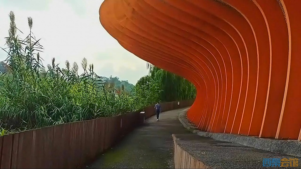 conew_qqͼ20241018192009.jpg