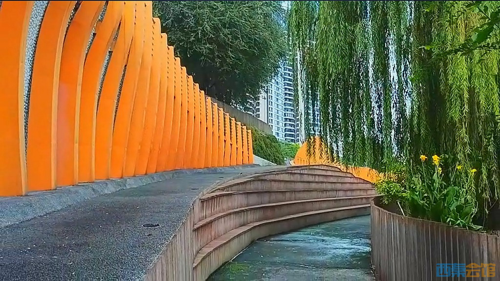 conew_qqͼ20241018192025.jpg